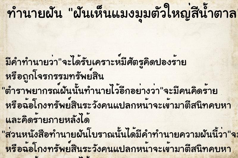 ทำนายฝันทำนายฝันฝันเห็นแมงมุมตัวใหญ่สีน้ำตาล