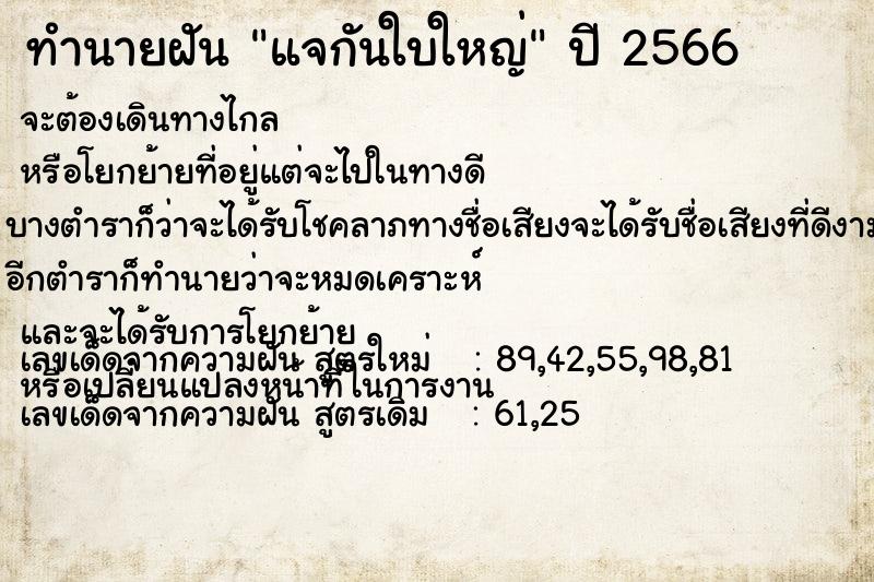 ทำนายฝัน แจกันใบใหญ่ ทำนายฝัน แจกันใบใหญ่