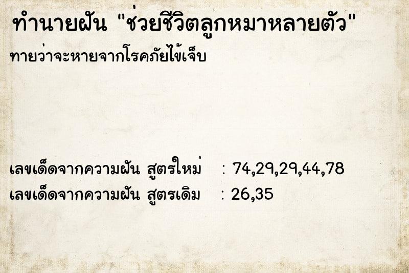 ทำนายฝันช่วยชีวิตลูกหมาหลายตัว ทำนายฝันทำนายฝันช่วยชีวิตลูกหมาหลายตัว