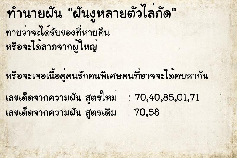 ทำนายฝันทำนายฝันฝันงูหลายตัวไล่กัด