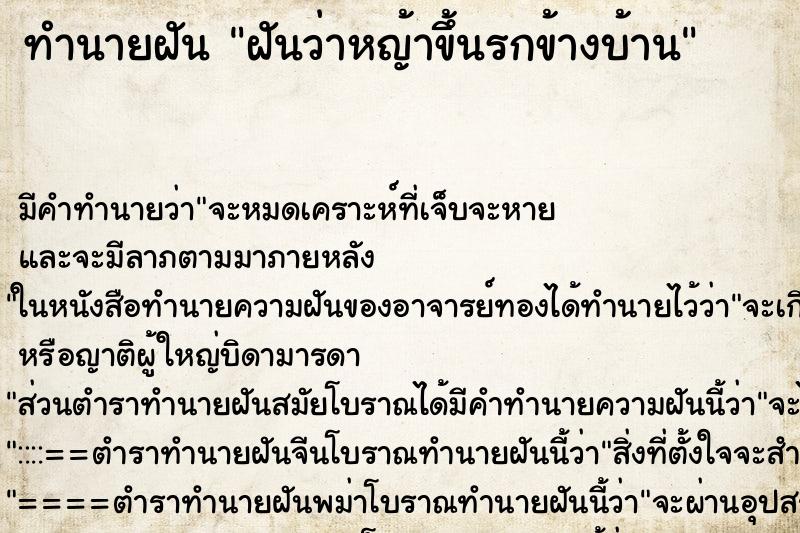 ทำนายฝัน ฝันว่าหญ้าขึ้นรกข้างบ้าน ทำนายฝัน ฝันว่าหญ้าขึ้นรกข้างบ้าน