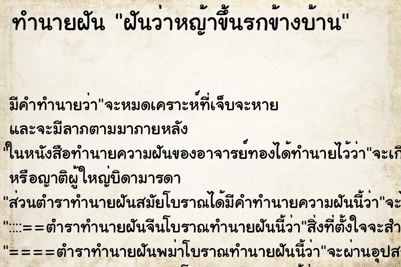 ทำนายฝัน ฝันว่าหญ้าขึ้นรกข้างบ้าน ตำราโบราณ แม่นที่สุดในโลก