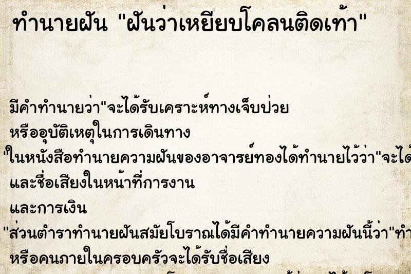 ทำนายฝัน ฝันว่าเหยียบโคลนติดเท้า ตำราโบราณ แม่นที่สุดในโลก