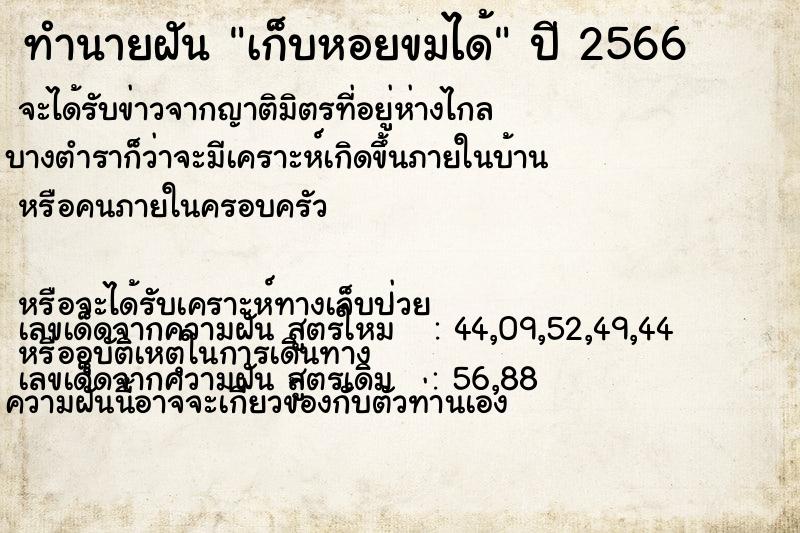 ทำนายฝัน เก็บหอยขมได้ ทำนายฝัน เก็บหอยขมได้