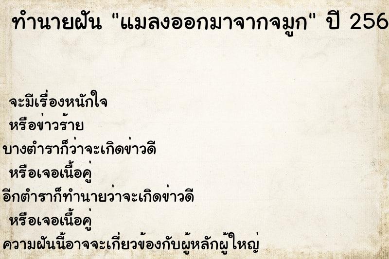 ทำนายฝัน แมลงออกมาจากจมูก ทำนายฝัน แมลงออกมาจากจมูก