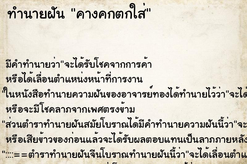 ทำนายฝัน คางคกตกใส่ ทำนายฝัน คางคกตกใส่