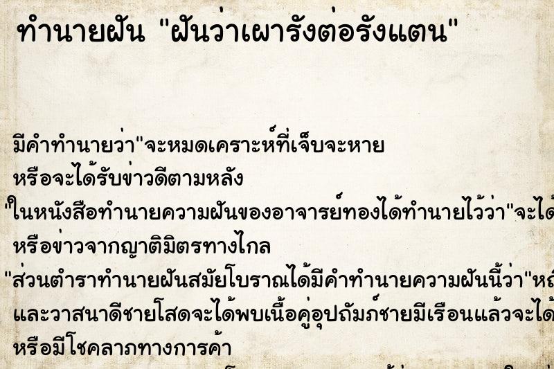 ทำนายฝัน ฝันว่าเผารังต่อรังแตน ตำราโบราณ แม่นที่สุดในโลก