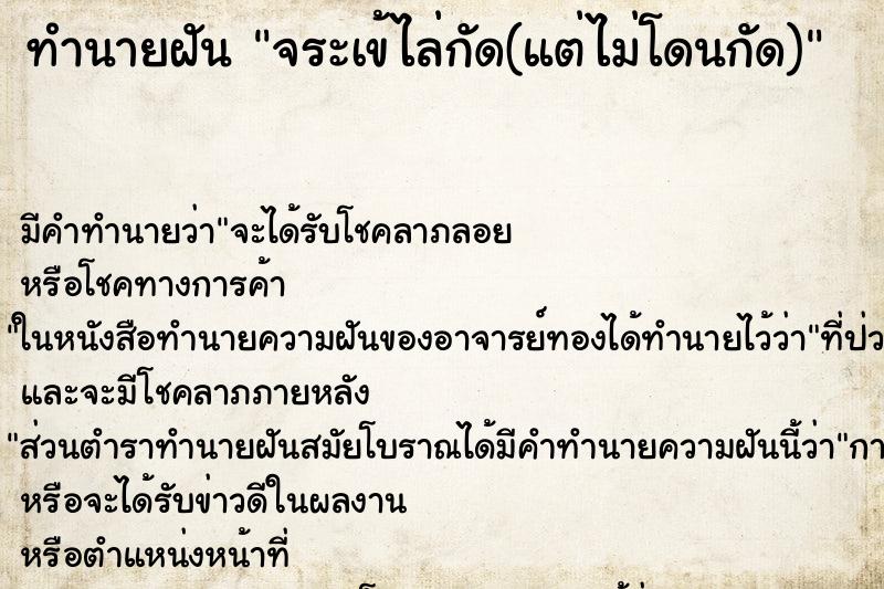 ทำนายฝัน จระเข้ไล่กัด(แต่ไม่โดนกัด)