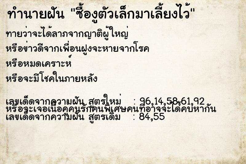 ทำนายฝันซื้องูตัวเล็กมาเลี้ยงไว้ ทำนายฝันทำนายฝันซื้องูตัวเล็กมาเลี้ยงไว้