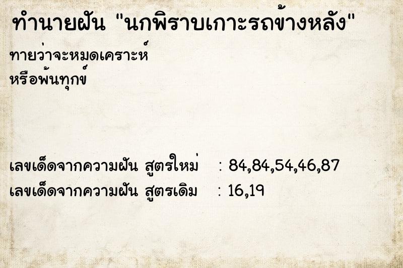 ทำนายฝันนกพิราบเกาะรถข้างหลัง ทำนายฝันทำนายฝันนกพิราบเกาะรถข้างหลัง