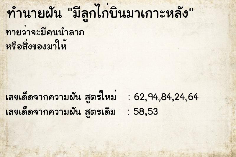 ทำนายฝันมีลูกไก่บินมาเกาะหลัง ทำนายฝันทำนายฝันมีลูกไก่บินมาเกาะหลัง