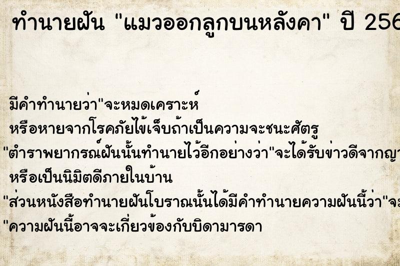 ทำนายฝันแมวออกลูกบนหลังคา ทำนายฝันทำนายฝันแมวออกลูกบนหลังคา