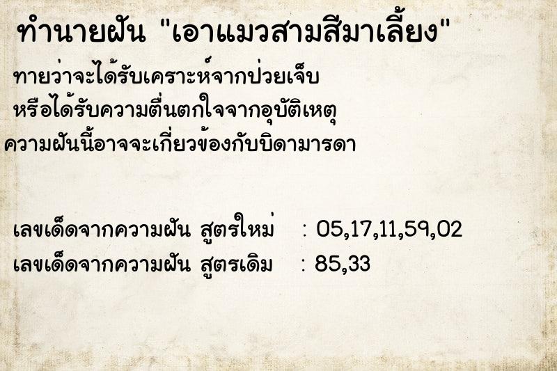 ทำนายฝันทำนายฝันเอาแมวสามสีมาเลี้ยง