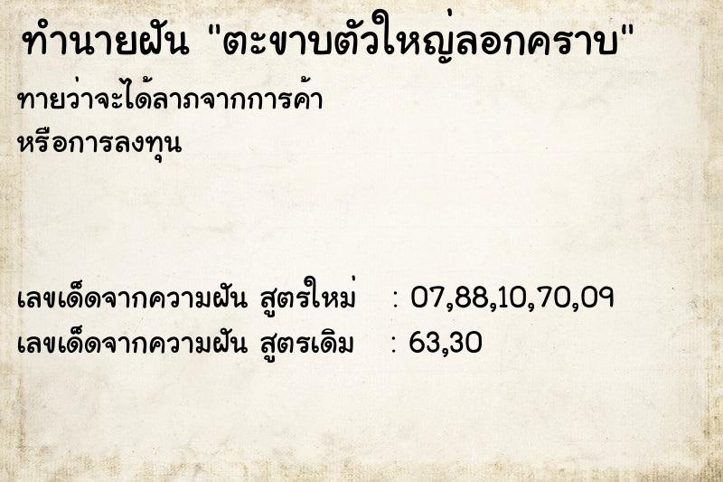 ทำนายฝันตะขาบตัวใหญ่ลอกคราบ ทำนายฝันทำนายฝันตะขาบตัวใหญ่ลอกคราบ
