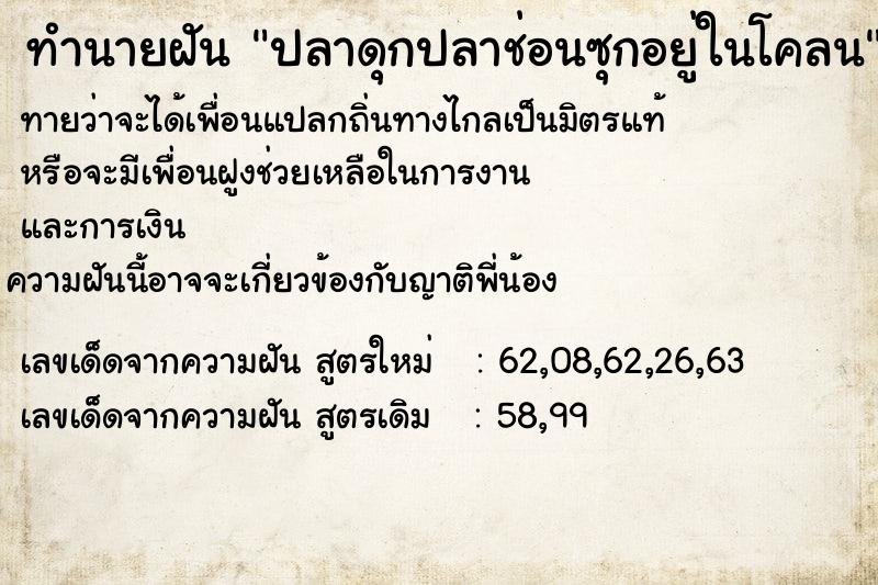 ทำนายฝันปลาดุกปลาช่อนซุกอยู่ในโคลน ทำนายฝันทำนายฝันปลาดุกปลาช่อนซุกอยู่ในโคลน