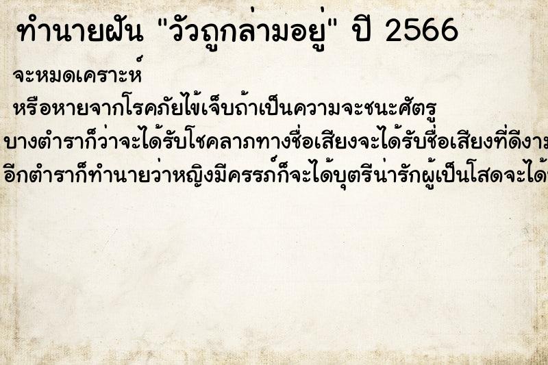 ทำนายฝัน วัวถูกล่ามอยู่ ทำนายฝัน วัวถูกล่ามอยู่