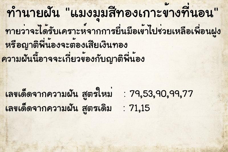 ทำนายฝันแมงมุมสีทองเกาะข้างที่นอน ทำนายฝันทำนายฝันแมงมุมสีทองเกาะข้างที่นอน