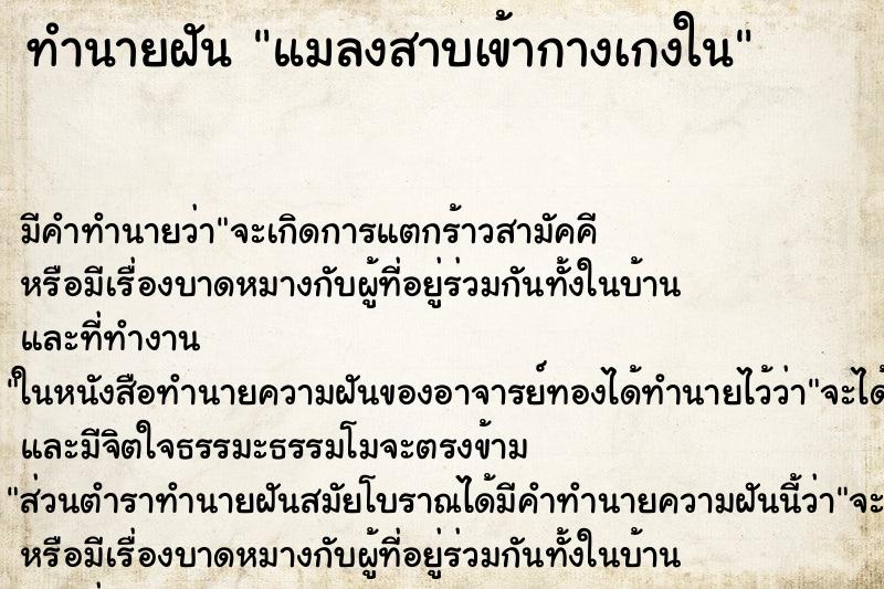 ทำนายฝัน แมลงสาบเข้ากางเกงใน ทำนายฝัน แมลงสาบเข้ากางเกงใน