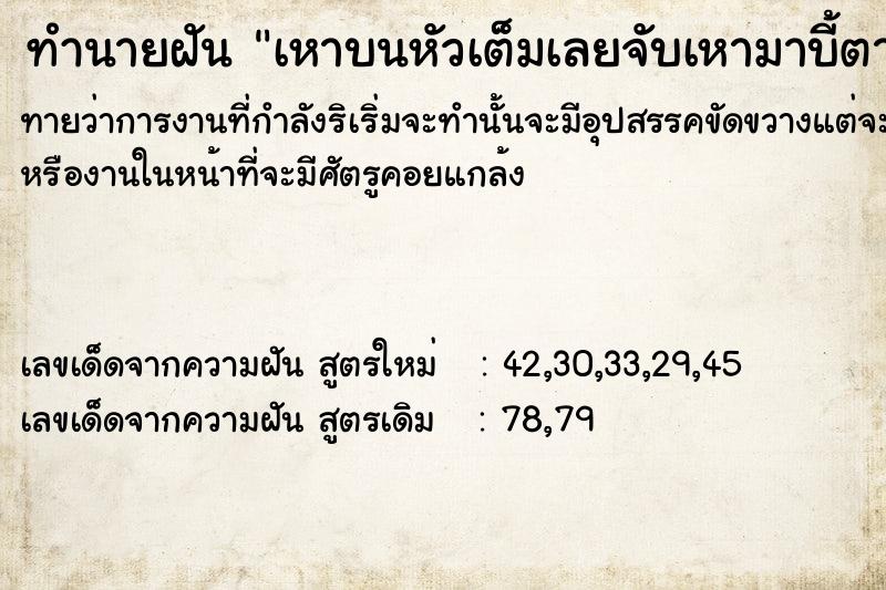 ทำนายฝันทำนายฝัน​เหาบนหัวเต็มเลยจับเหามาบี้ตาย