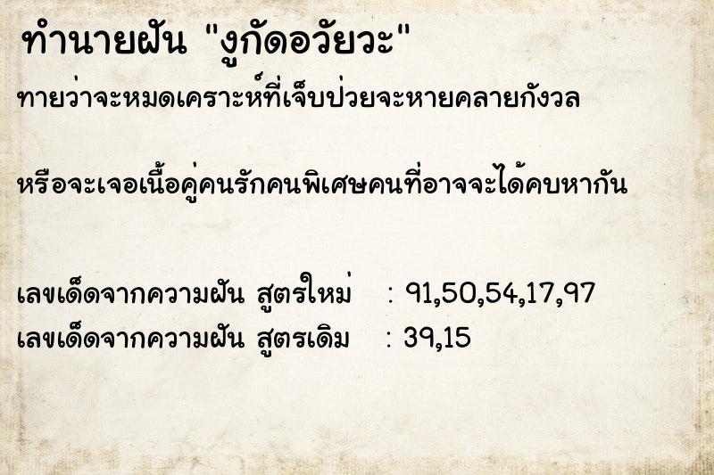 ทำนายฝันทำนายฝันงูกัดอวัยวะ