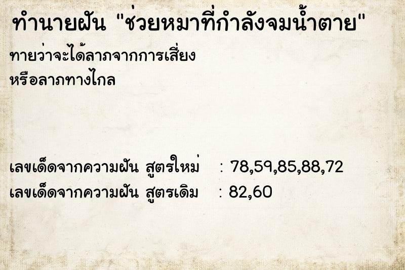 ทำนายฝันทำนายฝันช่วยหมาที่กำลังจมน้ำตาย
