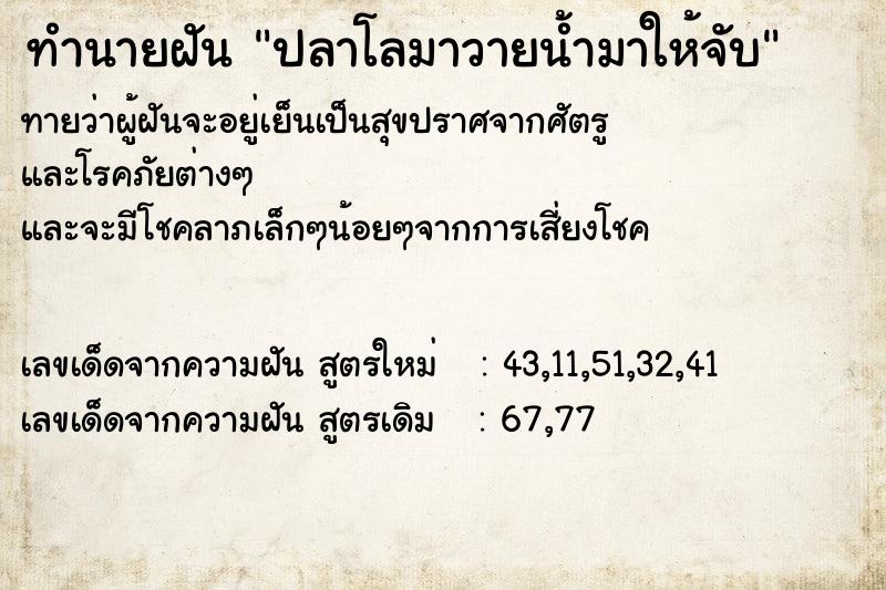 ทำนายฝันปลาโลมาวายน้ำมาให้จับ ทำนายฝันทำนายฝันปลาโลมาวายน้ำมาให้จับ