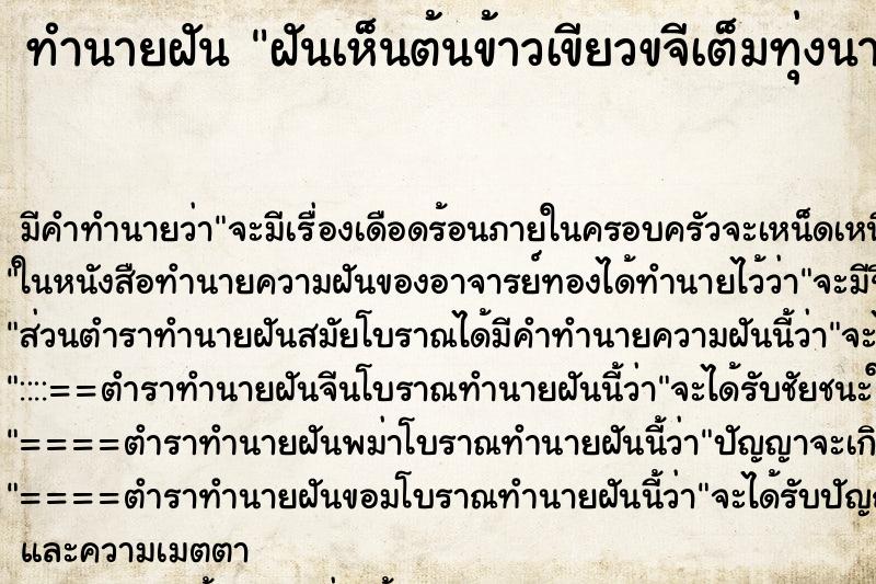 ทำนายฝัน ฝันเห็นต้นข้าวเขียวขจีเต็มทุ่งนา ทำนายฝัน ฝันเห็นต้นข้าวเขียวขจีเต็มทุ่งนา