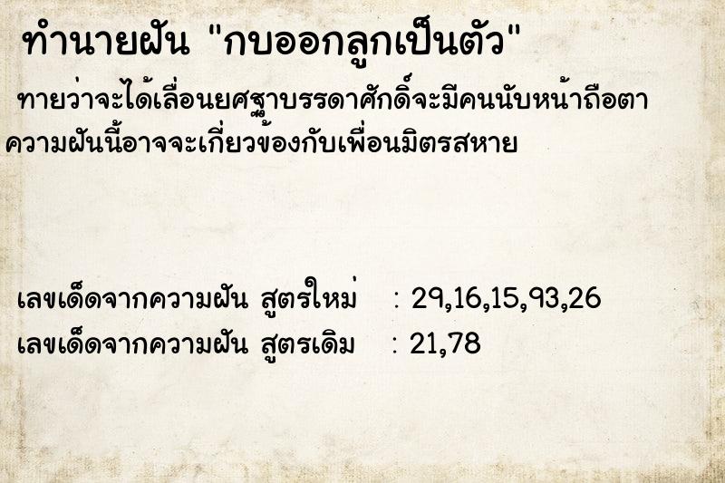 ทำนายฝัน กบออกลูกเป็นตัว แม่นๆ ฟรี ด้วยตำราหนังสือทำนายฝันโบราณ ทำนายฝันกบออกลูกเป็นตัว