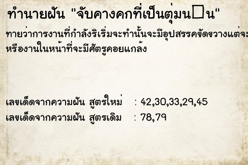 ทำนายฝันจับคางคกที่เป็นตุ่มน�¹ ทำนายฝันทำนายฝันจับคางคกที่เป็นตุ่มน�¹