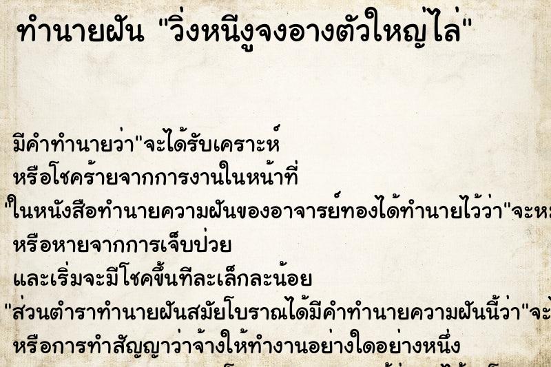 ทำนายฝันวิ่งหนีงูจงอางตัวใหญ่ไล่ ทำนายฝันทำนายฝันวิ่งหนีงูจงอางตัวใหญ่ไล่
