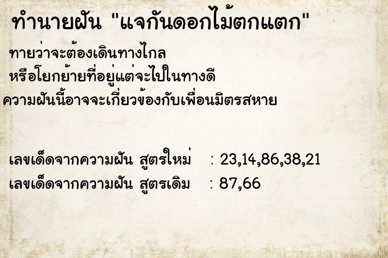 ทำนายฝันแจกันดอกไม้ตกแตก ทำนายฝันทำนายฝันแจกันดอกไม้ตกแตก