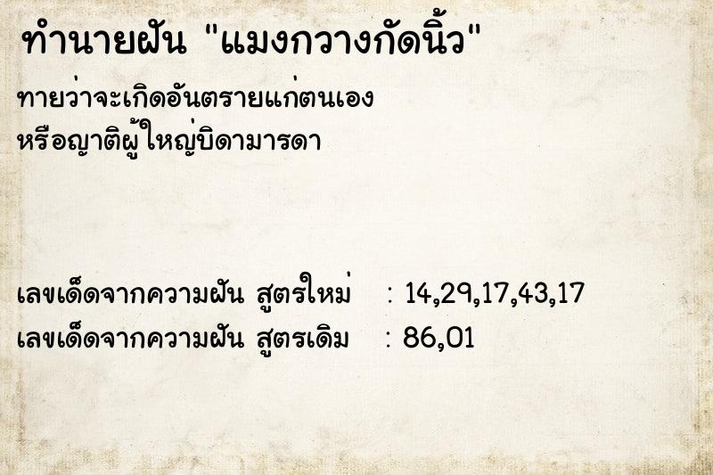 ทำนายฝันแมงกวางกัดนิ้ว ทำนายฝันทำนายฝันแมงกวางกัดนิ้ว
