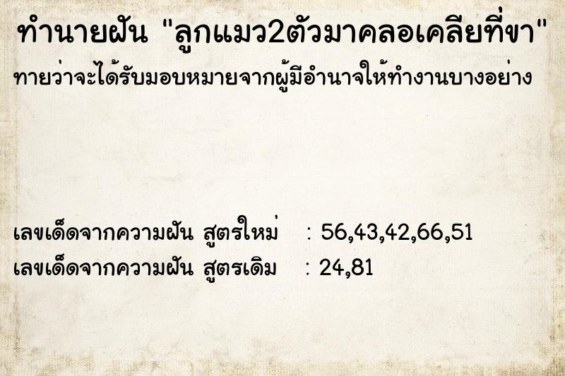 ทำนายฝันทำนายฝันลูกแมว2ตัวมาคลอเคลียที่่ขา