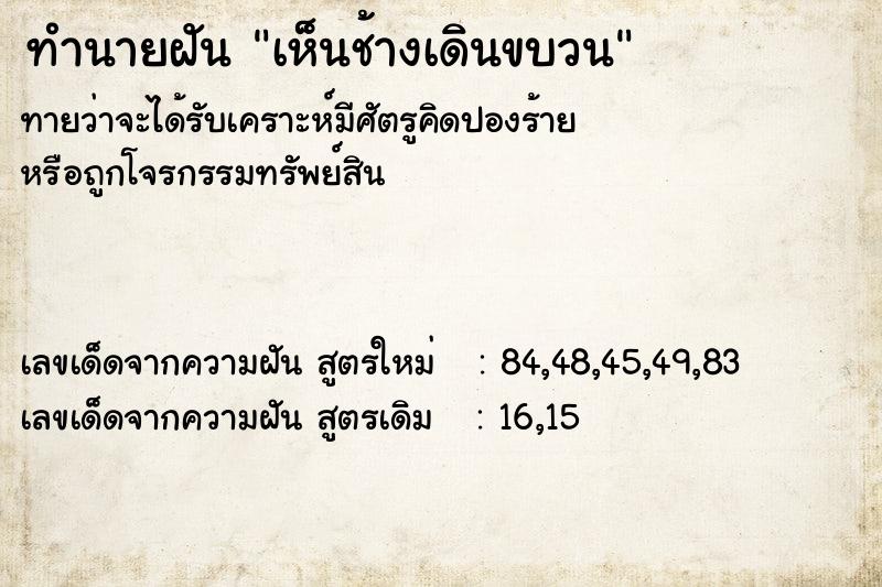ทำนายฝัน เห็นช้างเดินขบวน ทำนายฝัน เห็นช้างเดินขบวน
