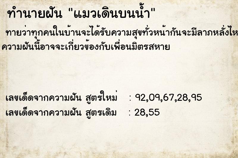 ทำนายฝันแมวเดินบนน้ำ ทำนายฝันทำนายฝันแมวเดินบนน้ำ