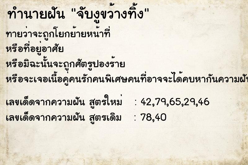 ทำนายฝันจับงูขว้างทิ้ง ทำนายฝันทำนายฝันจับงูขว้างทิ้ง
