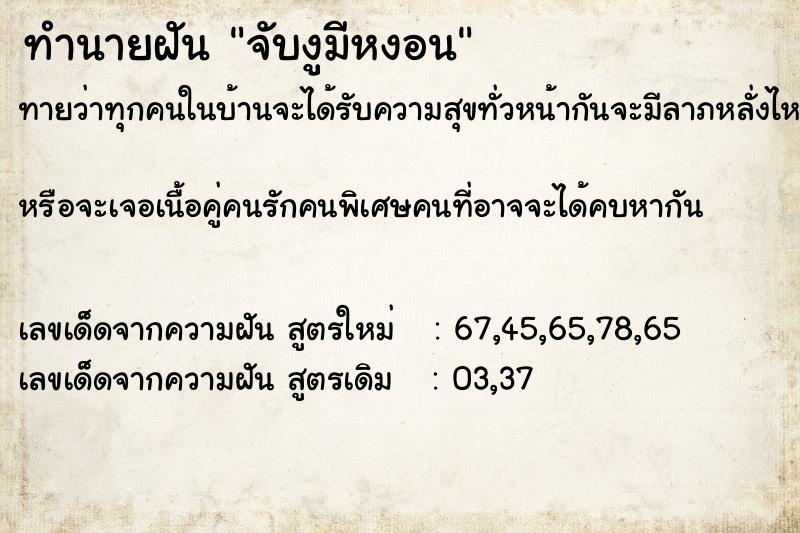 ทำนายฝันทำนายฝันจับงูมีหงอน