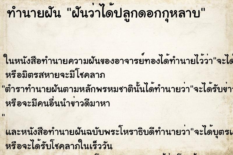 ทำนายฝัน ฝันว่าได้ปลูกดอกกุหลาบ