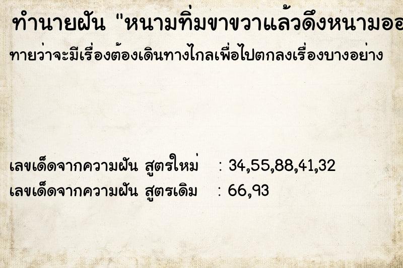 ทำนายฝันทำนายฝันหนามทิ่มขาขวาแล้วดึงหนามออก