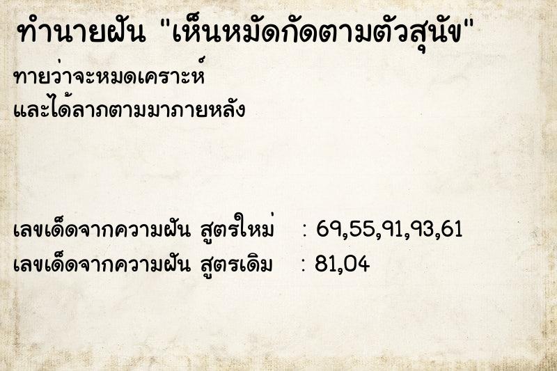 ทำนายฝันเห็นหมัดกัดตามตัวสุนัข ทำนายฝันทำนายฝันเห็นหมัดกัดตามตัวสุนัข