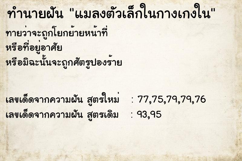ทำนายฝัน แมลงตัวเล็กในกางเกงใน ทำนายฝัน แมลงตัวเล็กในกางเกงใน