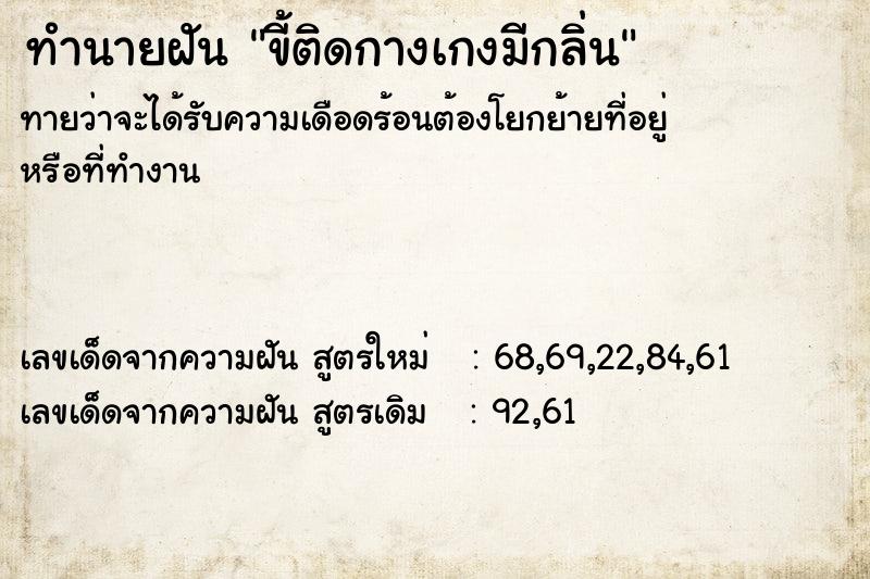 ทำนายฝันทำนายฝันขี้ติดกางเกงมีกลิ่น