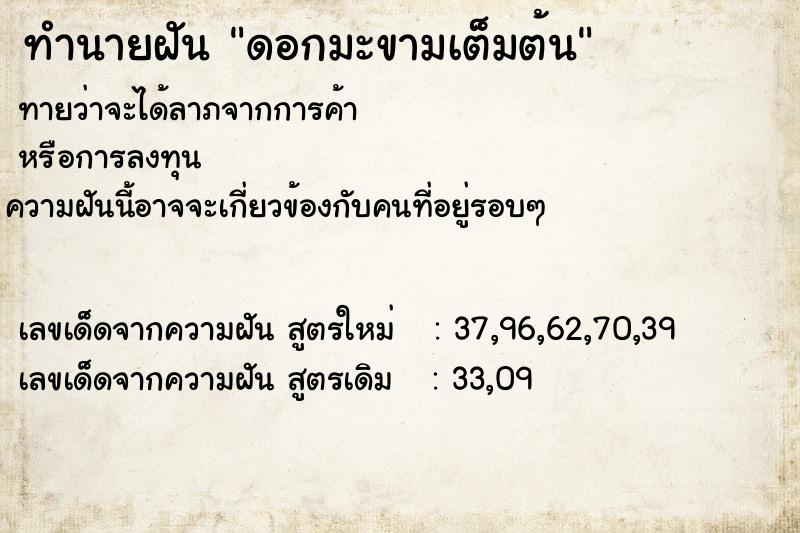 ทำนายฝันดอกมะขามเต็มต้น ทำนายฝันทำนายฝันดอกมะขามเต็มต้น