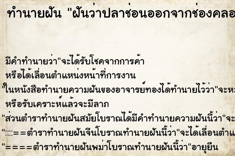 ทำนายฝัน ฝันว่าปลาช่อนออกจากช่องคลอด ตำราโบราณ แม่นที่สุดในโลก