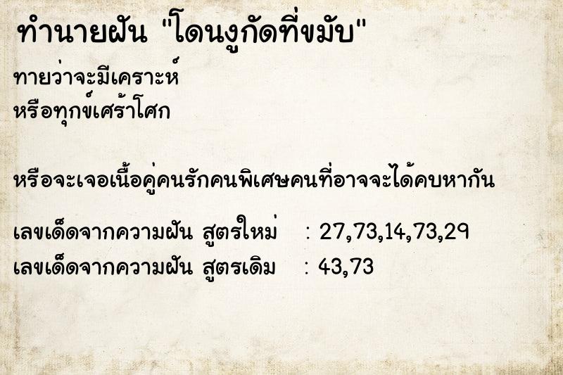 ทำนายฝันทำนายฝันโดนงูกัดที่ขมับ