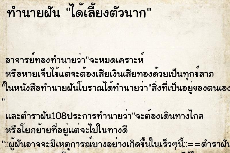 ทำนายฝันได้เลี้ยงตัวนาก ทำนายฝันทำนายฝันได้เลี้ยงตัวนาก