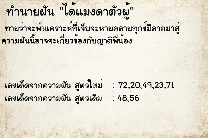 ทำนายฝัน ได้แมงดาตัวผู้