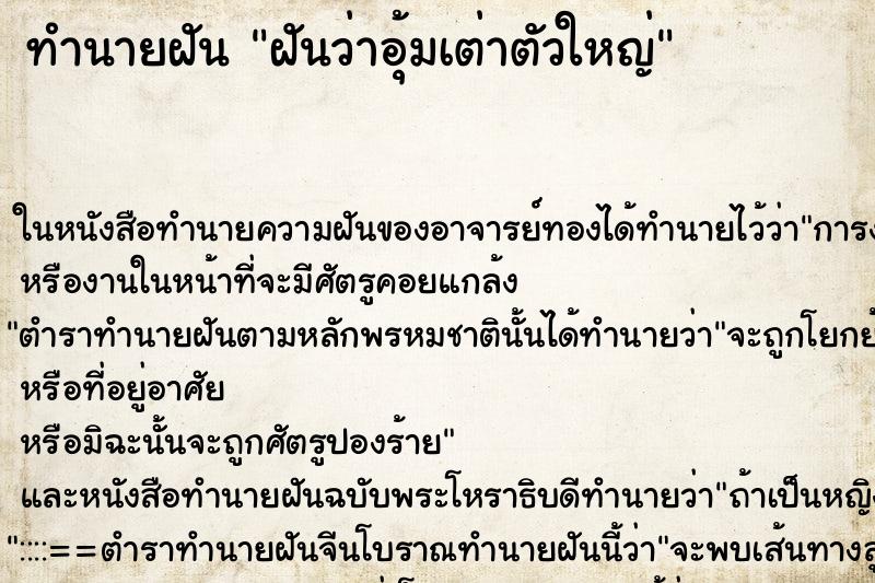 ทำนายฝันฝันว่าอุ้มเต่าตัวใหญ่ ทำนายฝันทำนายฝันฝันว่าอุ้มเต่าตัวใหญ่