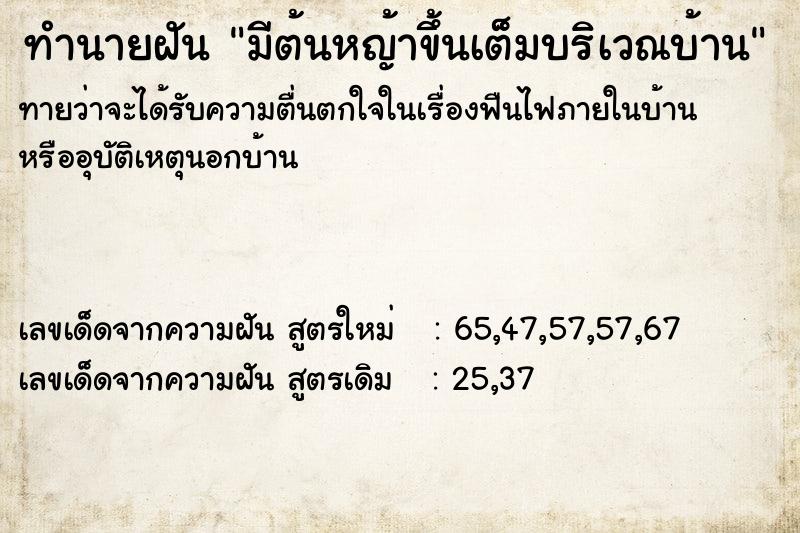 ทำนายฝันทำนายฝันมีต้นหญ้าขึ้นเต็มบริเวณบ้าน