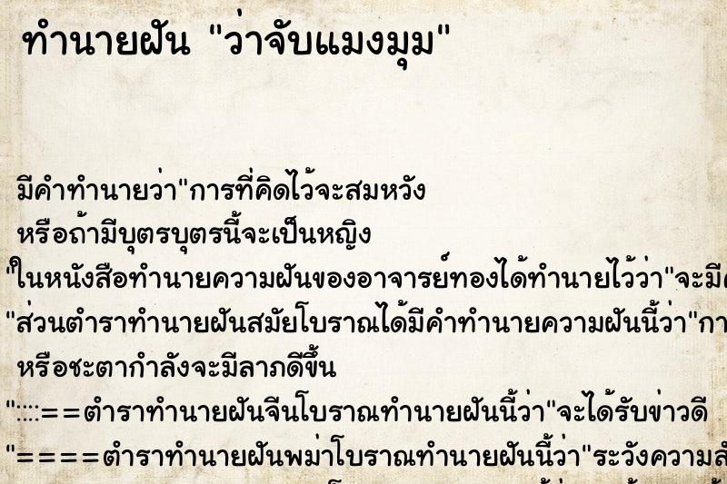 ทำนายฝัน ว่าจับแมงมุม ทำนายฝัน ว่าจับแมงมุม